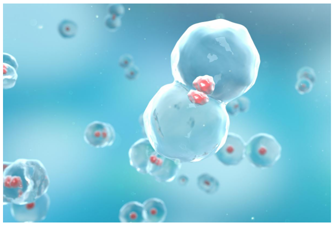 ½ñÄê»á | ¹Ù·½ÍøÕ¾